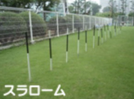 スラローム